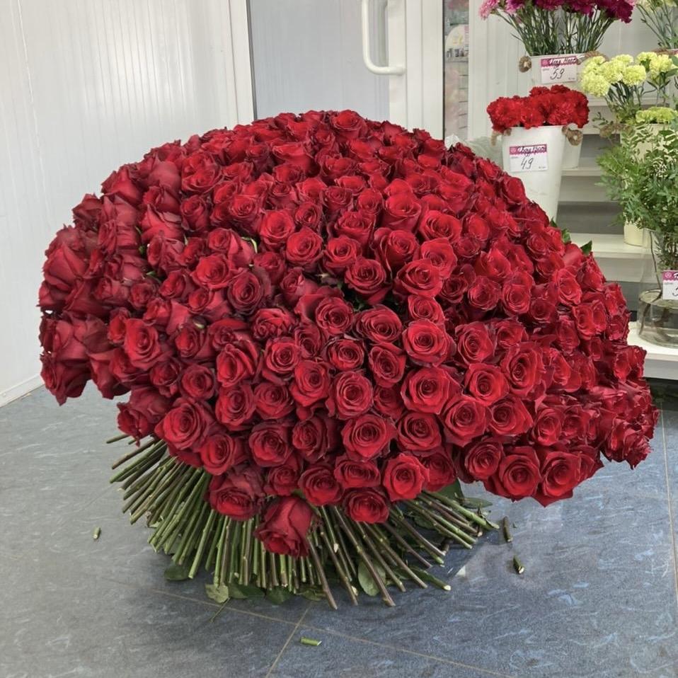 Букеты из красных роз 80 см (Эквадор) (артикул: 29088y)