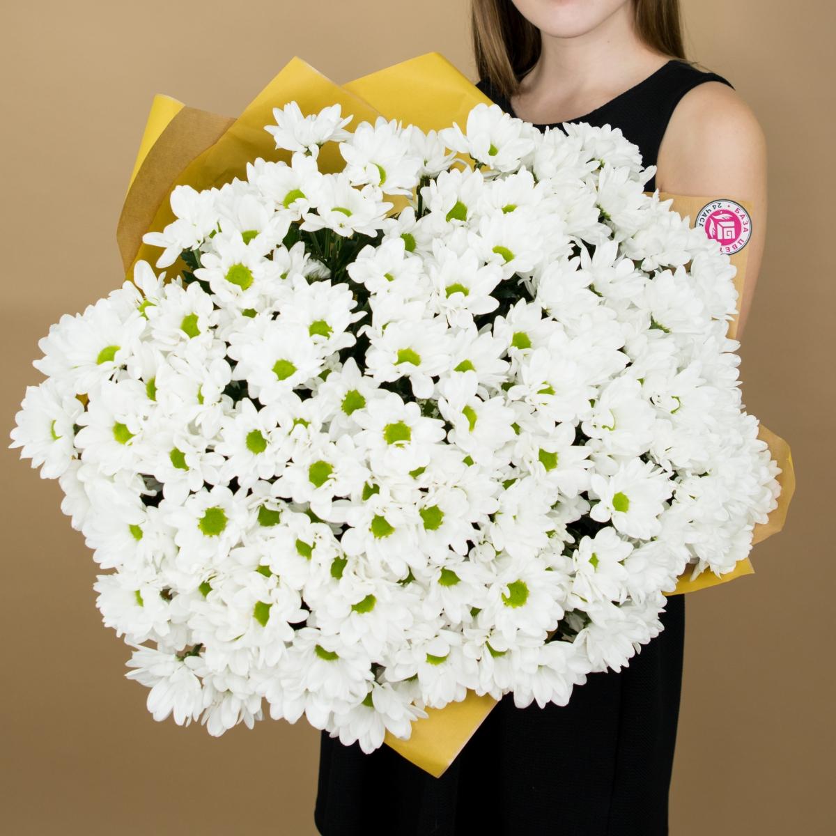 Хризантема белая (ромашка) articul  432
