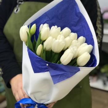 Белые тюльпаны 23 шт. №  48312y