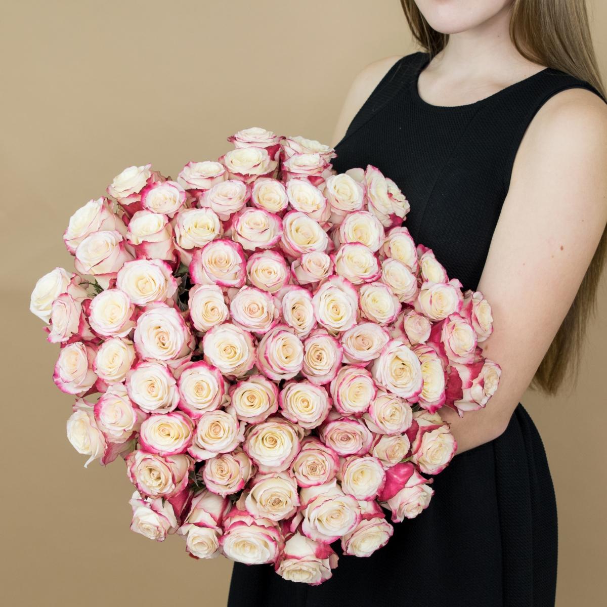 Розы красно-белые (40 см) Эквадор артикул букета  72slav