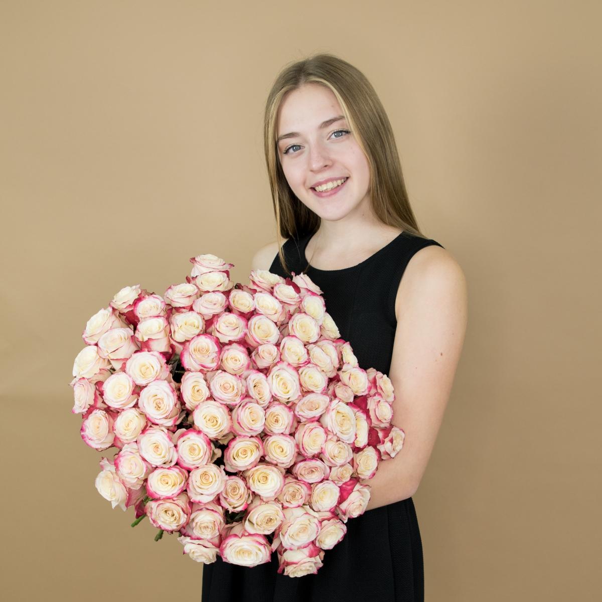 Розы красно-белые (40 см) Эквадор артикул букета  72slav